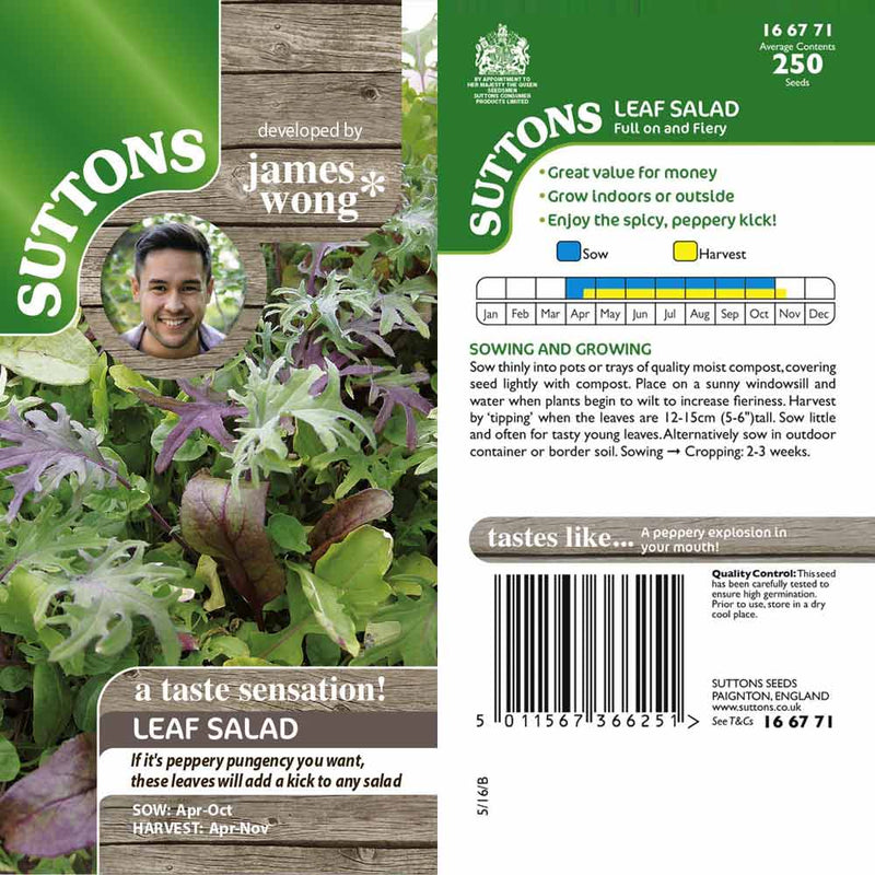 Suttons Leaf Salad - SEED VEG & FLOWER - Beattys of Loughrea