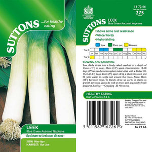 Suttons Leek Blue Green Autumn Neptune G167266 - SEED VEG & FLOWER - Beattys of Loughrea