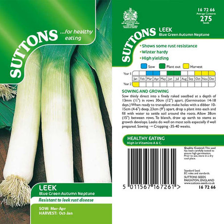 Suttons Leek Blue Green Autumn Neptune G167266 - SEED VEG & FLOWER - Beattys of Loughrea