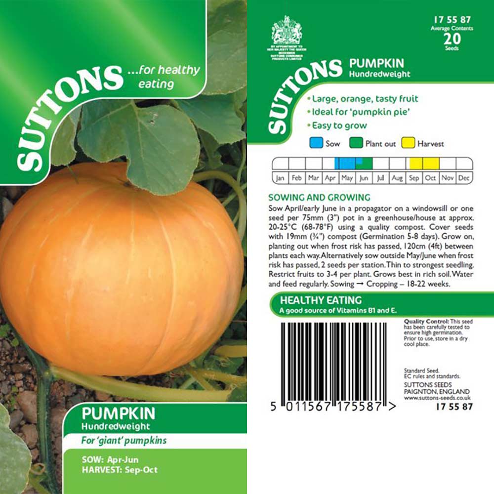 Suttons Pumpkin Hundredweight 175587 - SEED VEG & FLOWER - Beattys of Loughrea