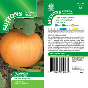 Suttons Pumpkin Hundredweight 175587 - SEED VEG & FLOWER - Beattys of Loughrea