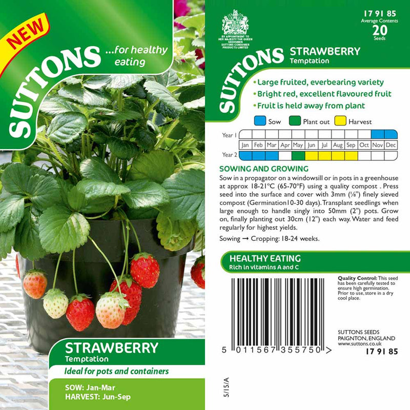 Suttons Strawberry Temptation G179185 - SEED VEG & FLOWER - Beattys of Loughrea