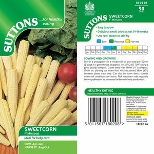 Suttons Sweet Corn Minipop F1 G180206 - Beattys of Loughrea | www.beattys.ie
