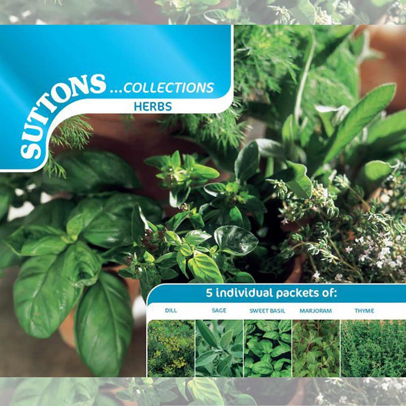 Suttons Herb Collection 185351 - SEED VEG & FLOWER - Beattys of Loughrea