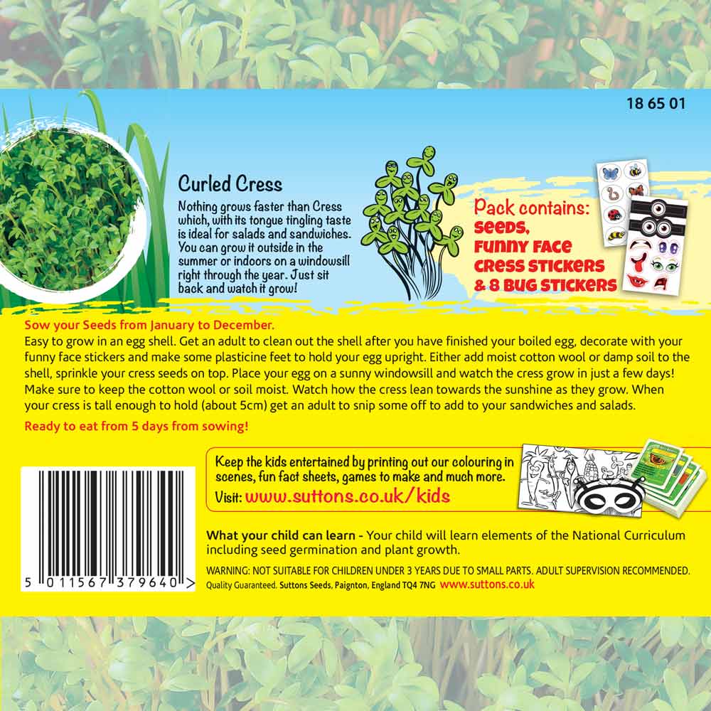 Suttons Curled Cress Heads Ftg - SEED VEG & FLOWER - Beattys of Loughrea