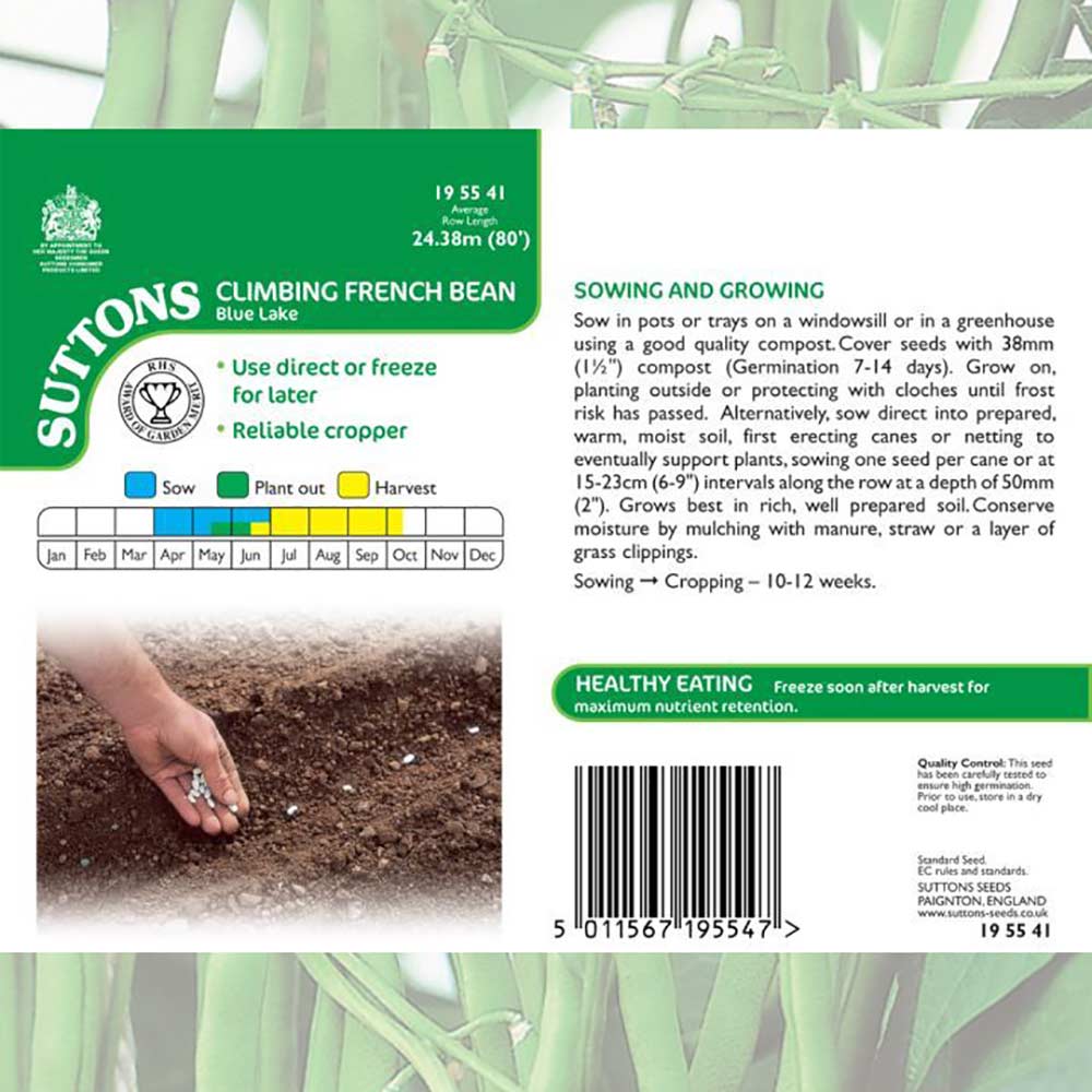 Suttons Climbing French Bean Blue L 195541 - SEED VEG & FLOWER - Beattys of Loughrea