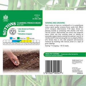 Suttons Climbing French Bean Blue L 195541 - SEED VEG & FLOWER - Beattys of Loughrea