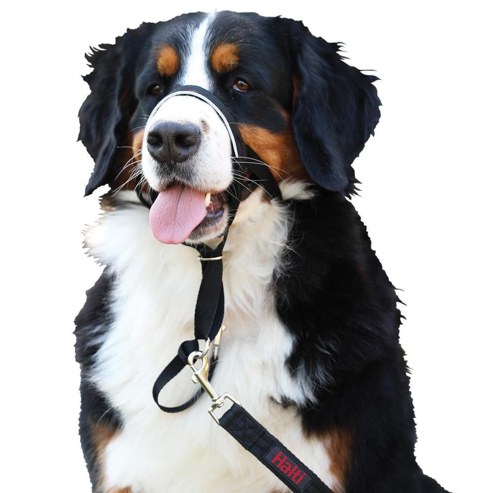 Halti Headcollar Size 0 Black - PET LEAD, COLLAR AND ID, SAFETY - Beattys of Loughrea