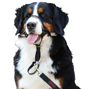 Halti Headcollar Size 1 Black - PET LEAD, COLLAR AND ID, SAFETY - Beattys of Loughrea